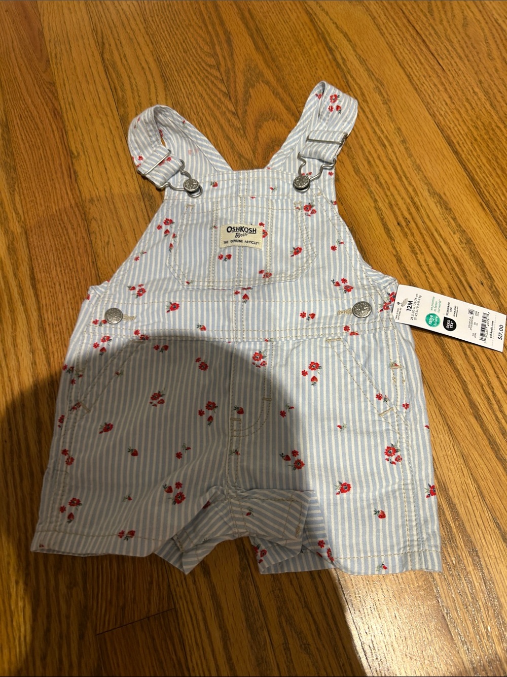 OshKosh B'gosh Blue & White Striped Floral Shortall
